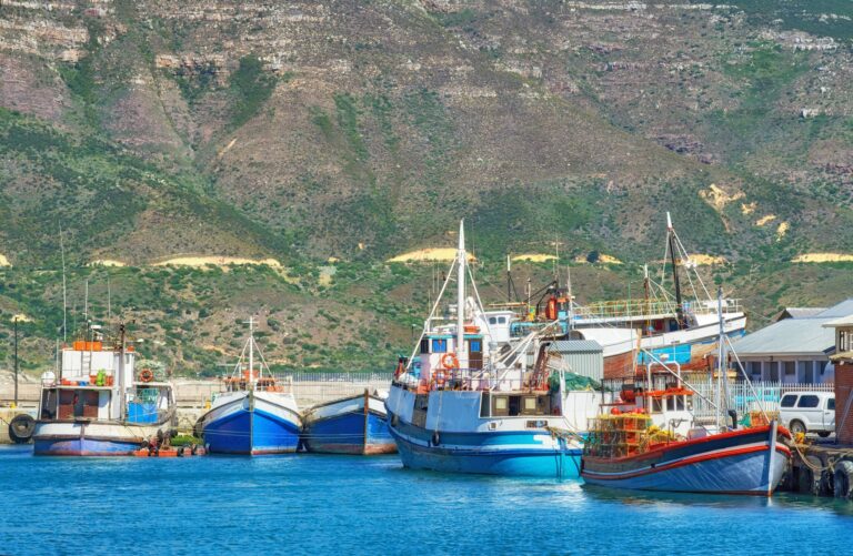 Fishing boats in the harbor of Hout Bay - close to Cape Town, South Africa.