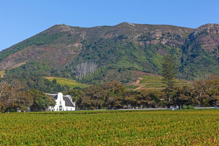 Groot Constantia in Cape Town