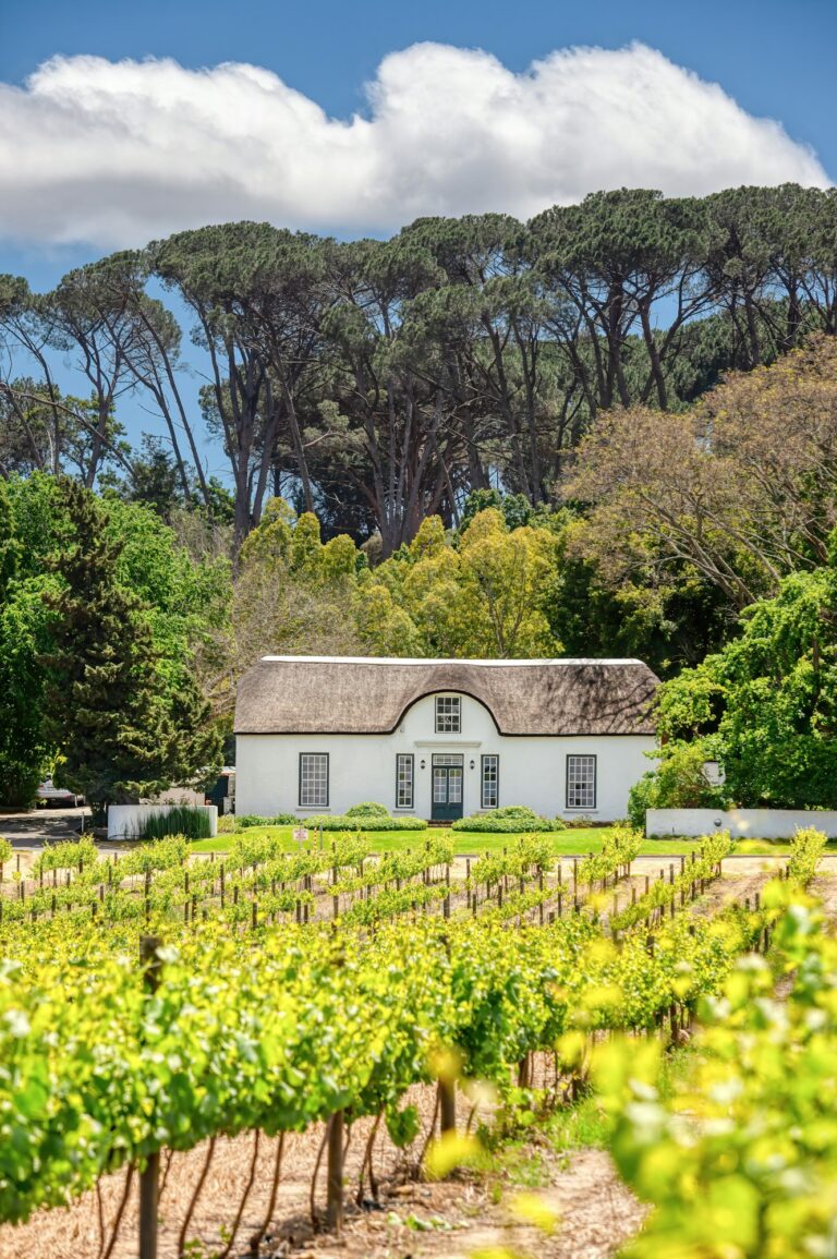 Oude Libertas Vineyard and Cape Dutch Homestead