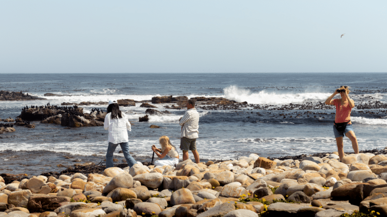 Peninsula Sightseeing Tour Along Cliffton, Cape Point