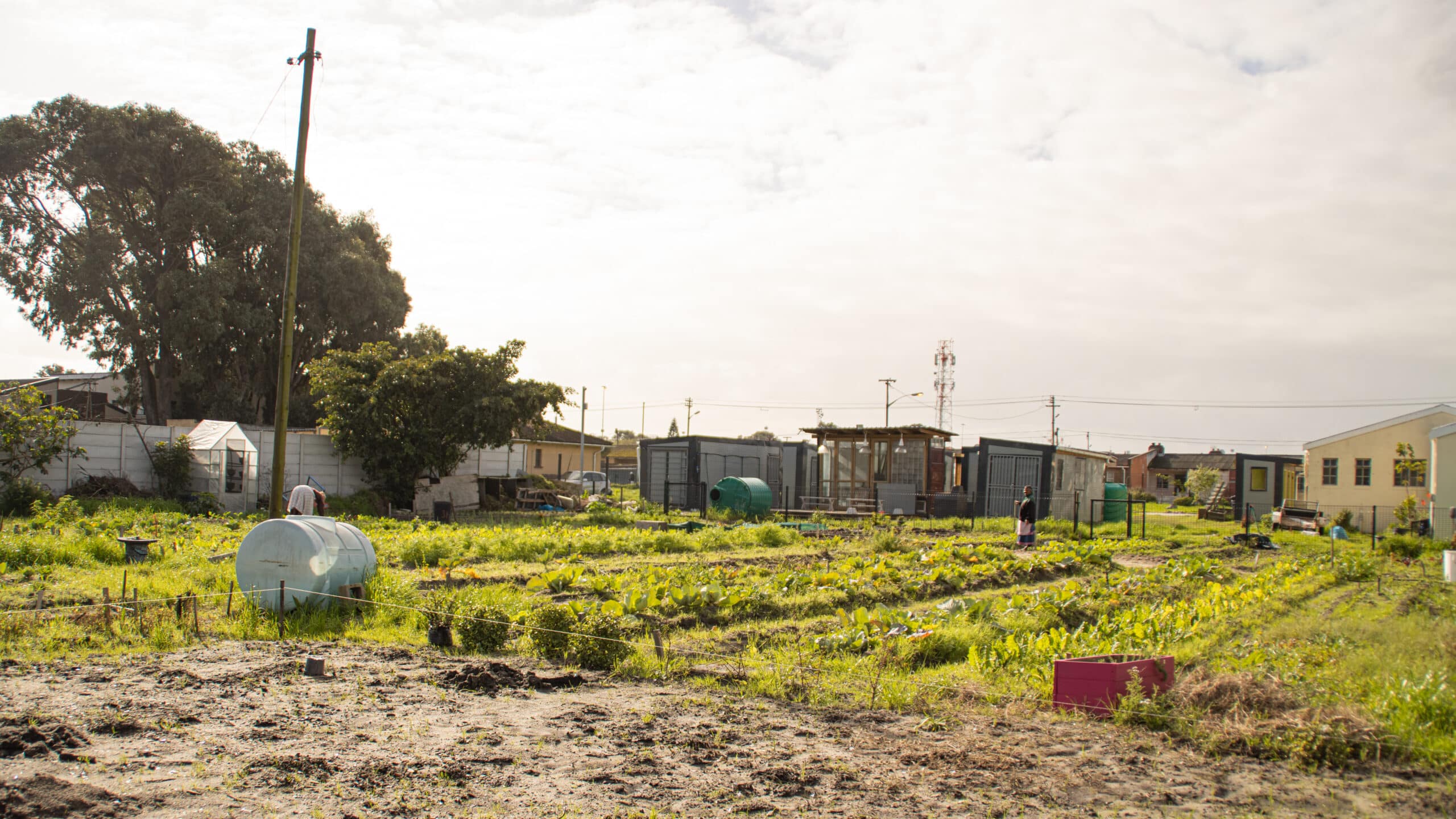 Jeep Experience Tours Langa-132