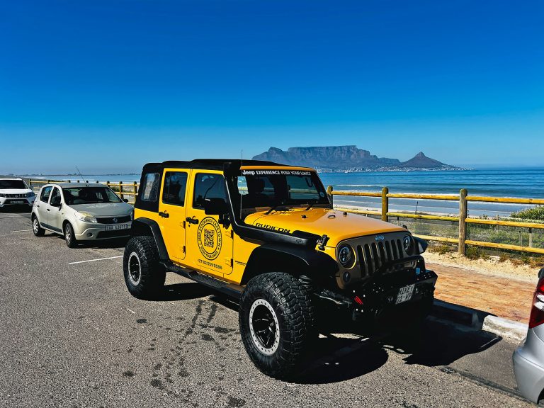 Table Mountain View on Day Tour, Wine Tasting